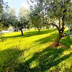 Hacienda Matea - Oasis Of Romance Near The Beaches, Surrounded By Olive Trees, Pool, Jacuzzi And Playground, - Istria プーラ