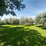 Hacienda Matea - Oasis Of Romance Near The Beaches, Surrounded By Olive Trees, Pool, Jacuzzi And Playground, - Istria ヴィラ *