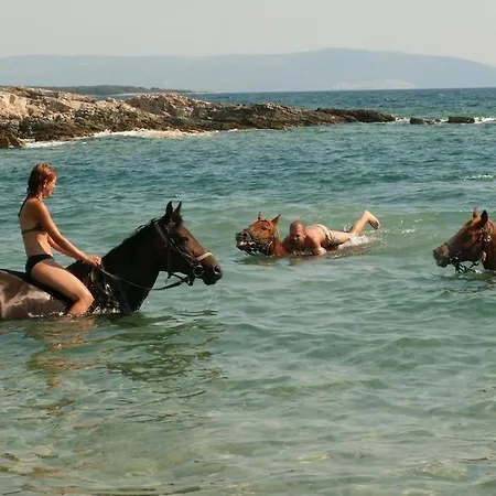 Villa Hacienda Matea - Oasis Of Romance Near The Beaches, Surrounded By Olive Trees, Pool, Jacuzzi And Playground, - Istria *