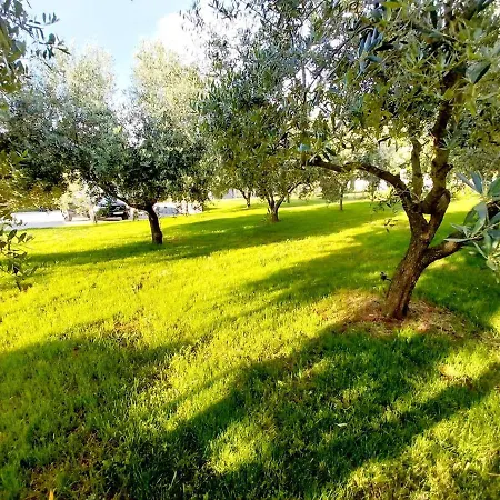Hacienda Matea - Oasis Of Romance Near The Beaches, Surrounded By Olive Trees, Pool, Jacuzzi And Playground, - Istria Pola
