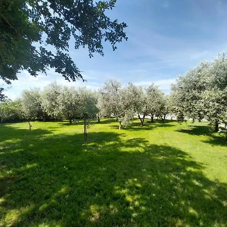 Hacienda Matea - Oasis Of Romance Near The Beaches, Surrounded By Olive Trees, Pool, Jacuzzi And Playground, - Istria Villa *