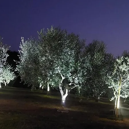 Hacienda Matea - Oasis Of Romance Near The Beaches, Surrounded By Olive Trees, Pool, Jacuzzi And Playground, - Istria * Pola